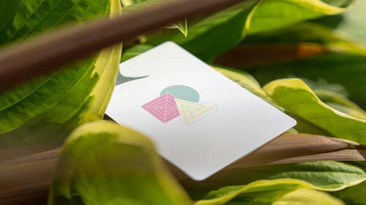 Aedijux Playing Cards USPCC - Image 5