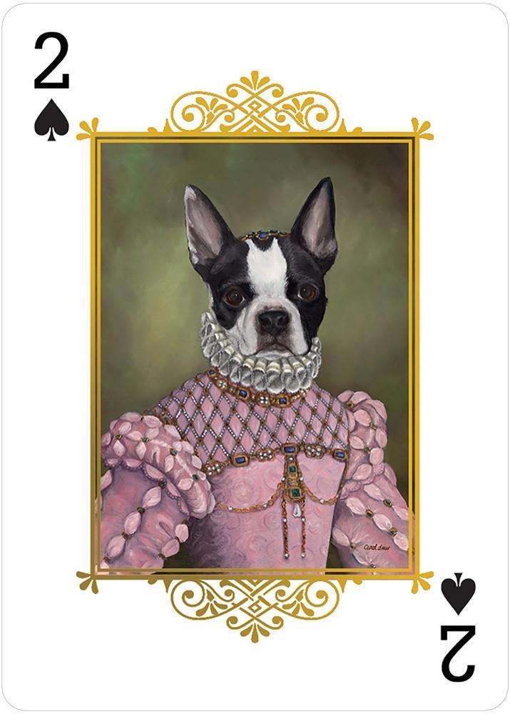 Animal Portraits Playing Cards USGS - Image 4