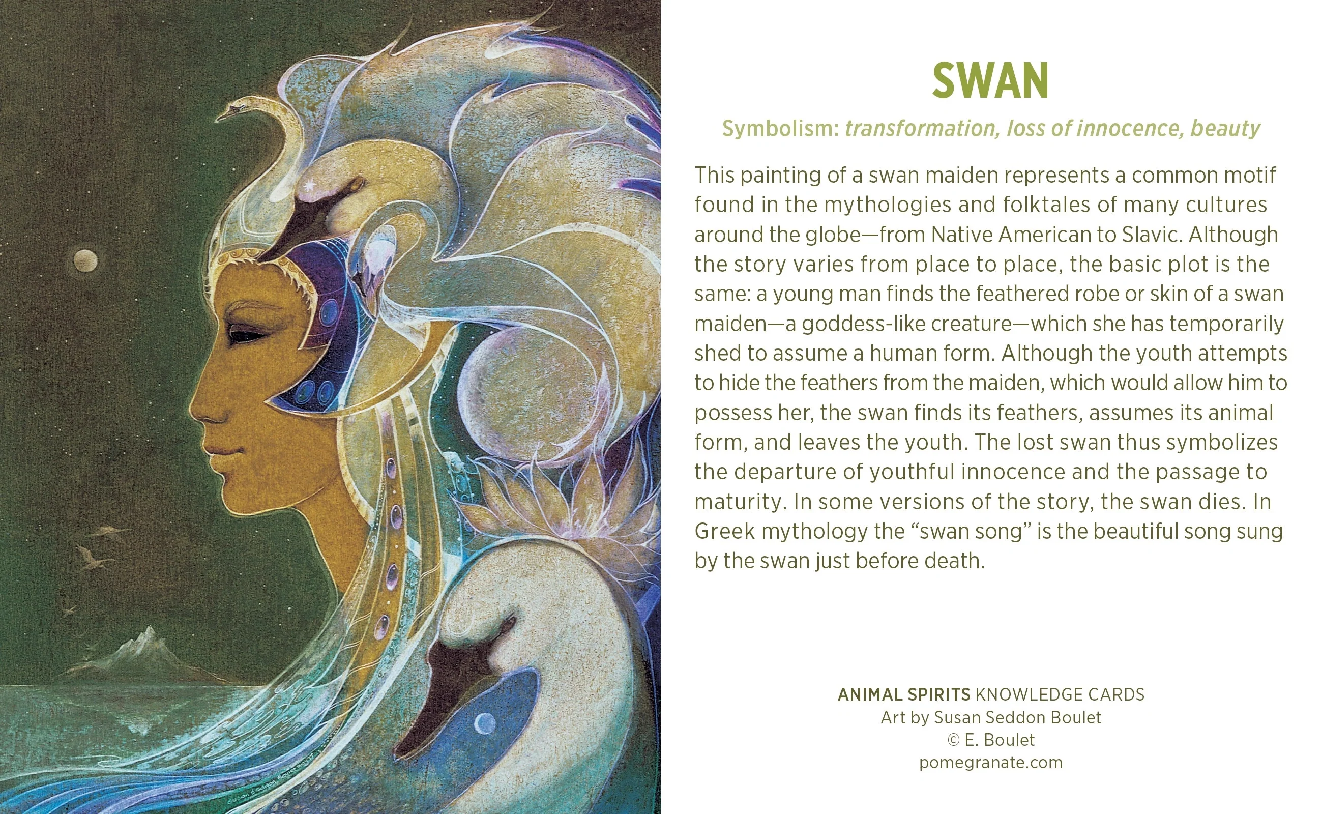 Animal Spirits Knowledge Cards - Image 4