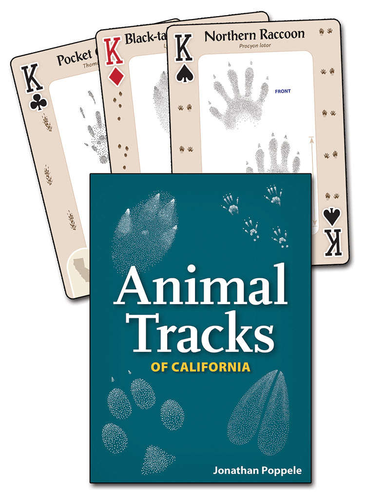 Animal Tracks of California Playing Cards - Image 5