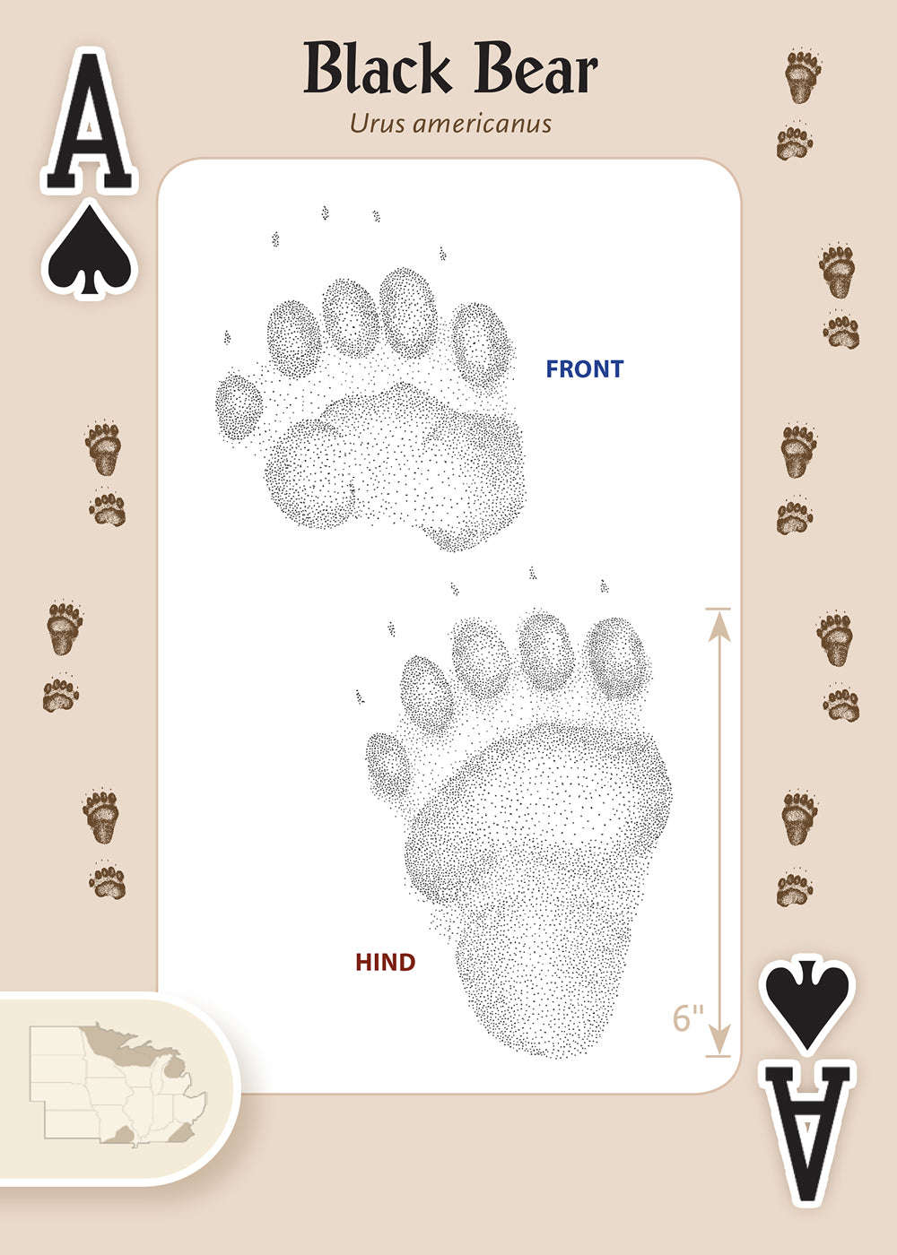 Animal Tracks of the Midwest Playing Cards - Image 2