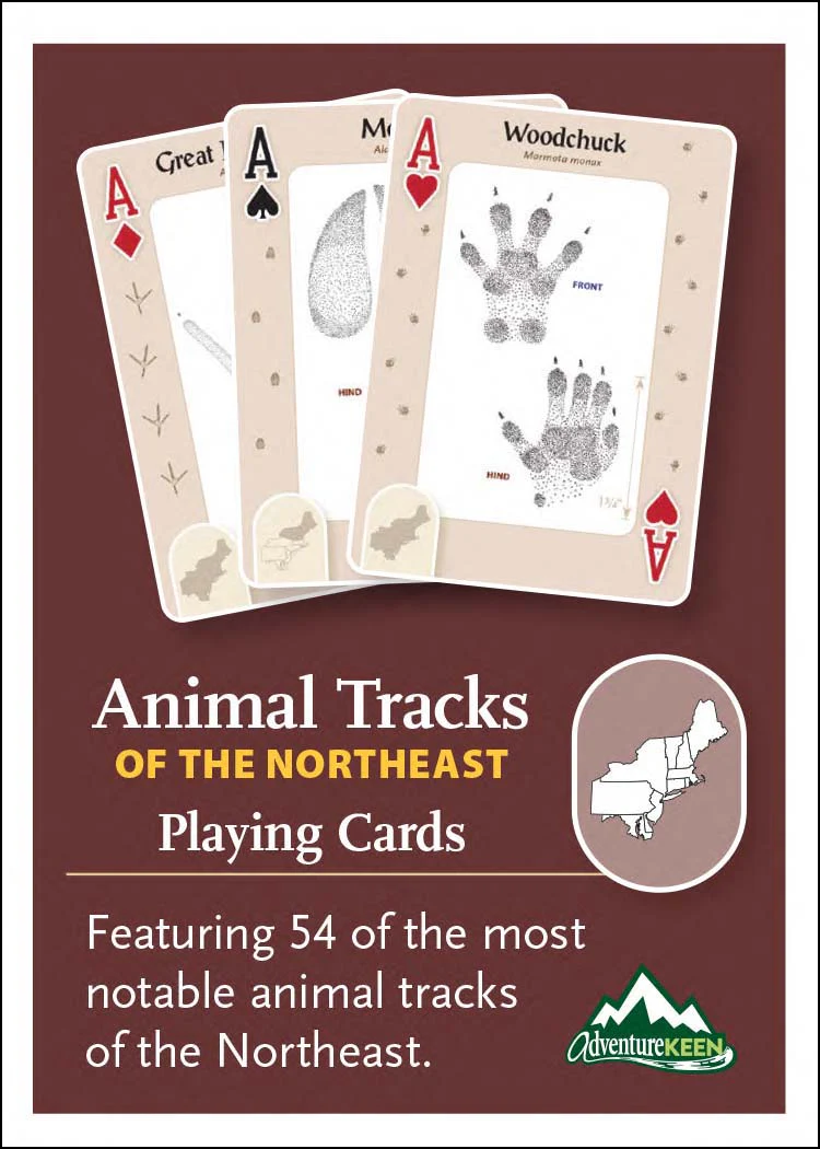 Animal Tracks of the Northeast Playing Cards - Image 5