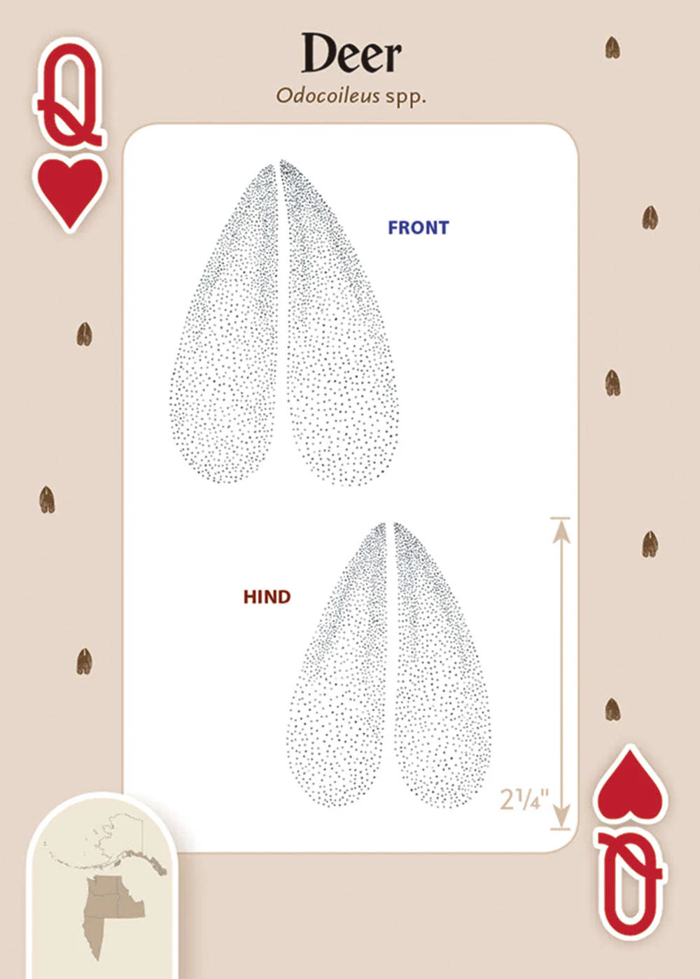 Animal Tracks of the Northwest Playing Cards - Image 2