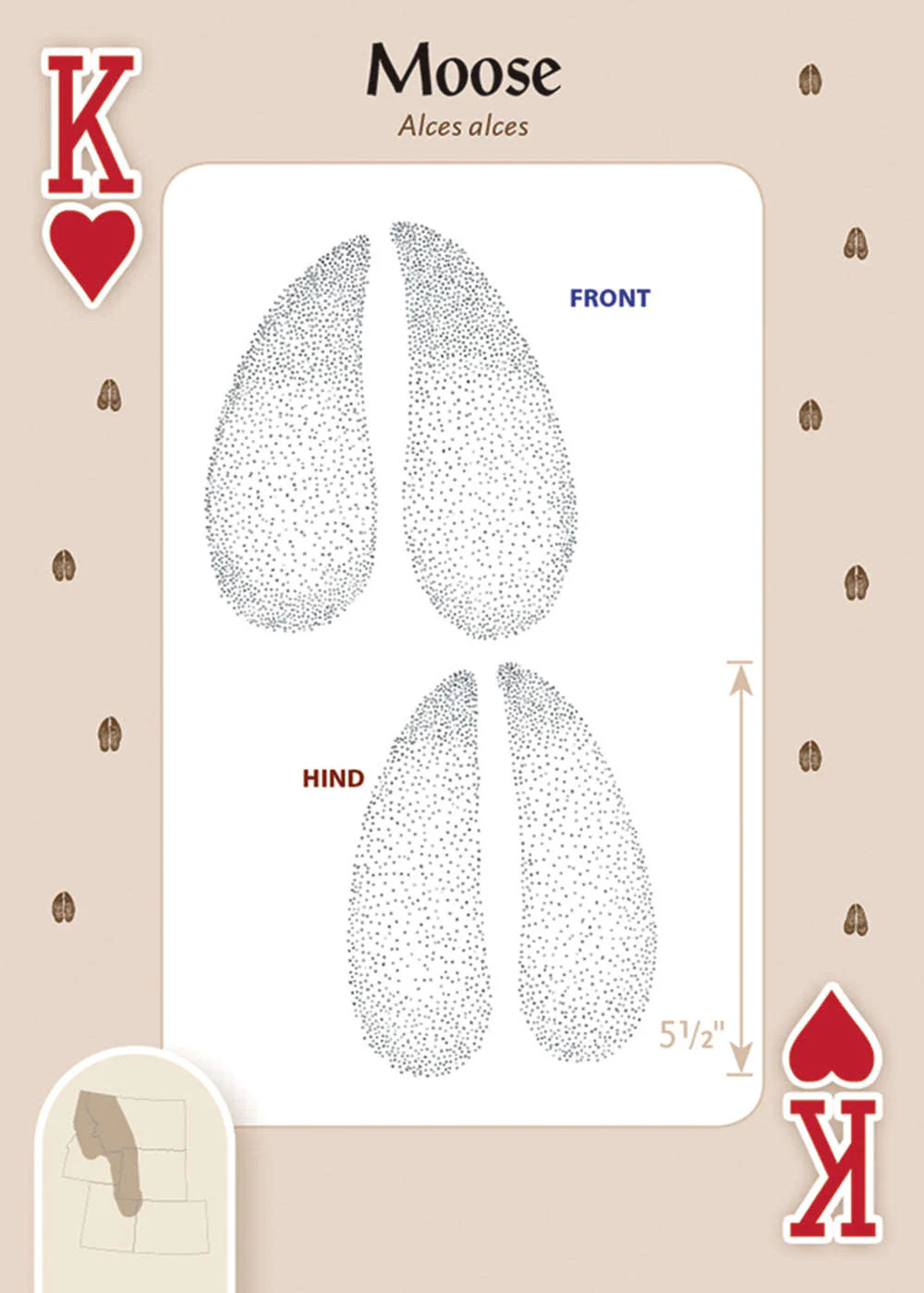 Animal Tracks of the Rocky Mountains Playing Cards - Image 2