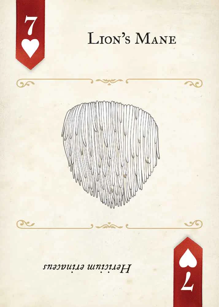 Fungi, Mushrooms & Lichens Playing Cards - Image 2