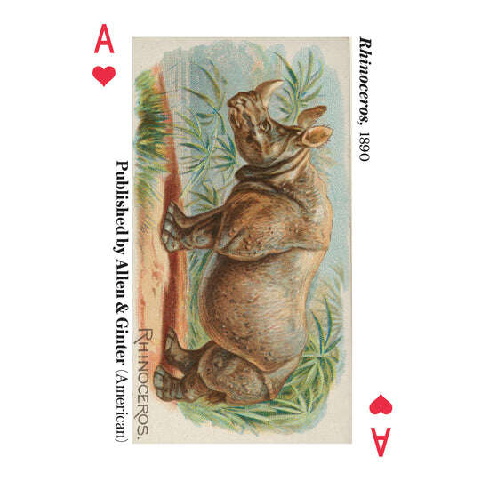 Animals of the Met Playing Cards USPCC - Image 3
