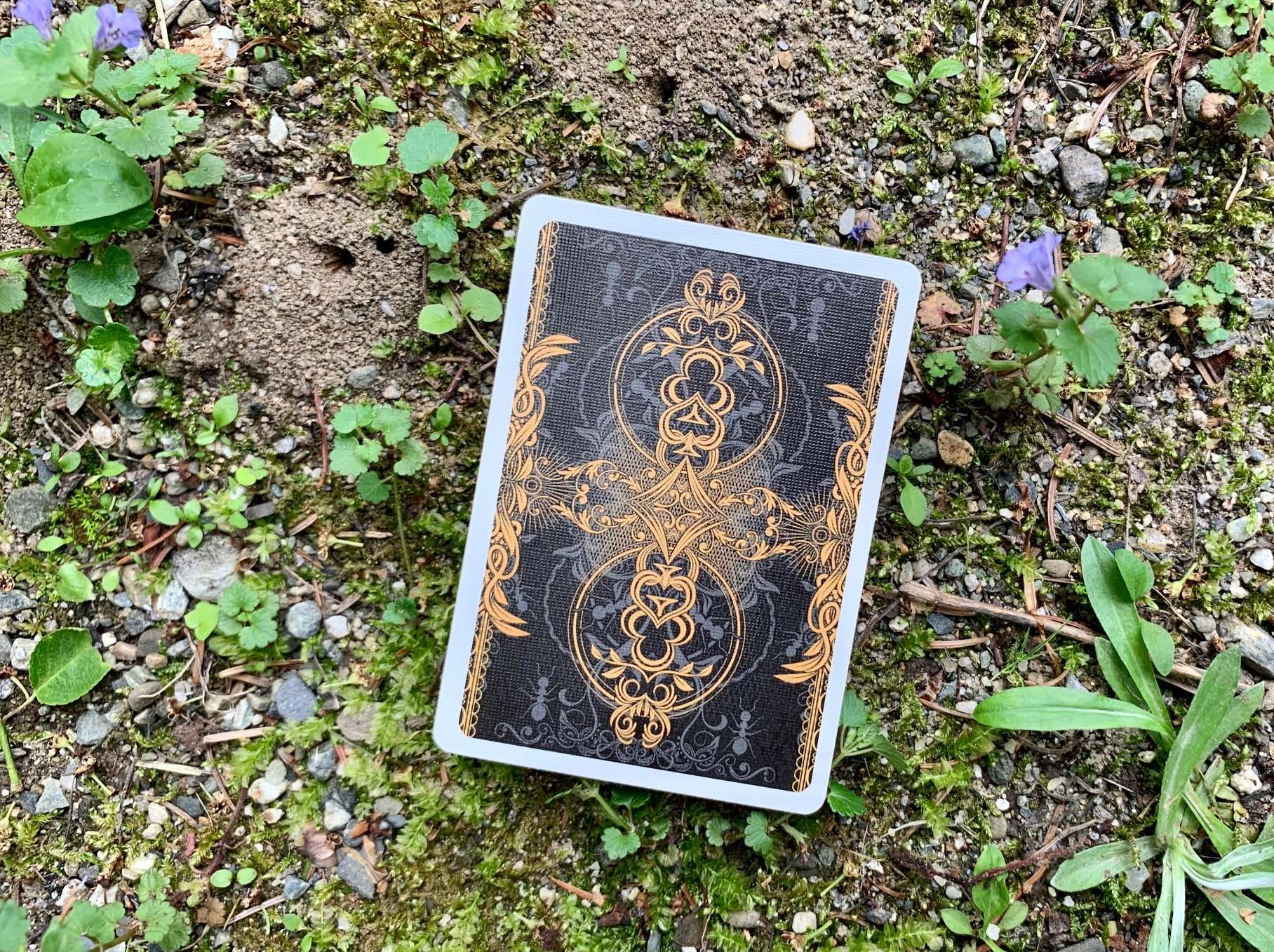 Ant Bicycle Playing Cards - Image 14