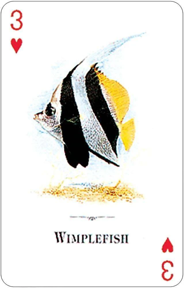 Aquarium Fish of the Natural World Playing Cards USGS - Image 2