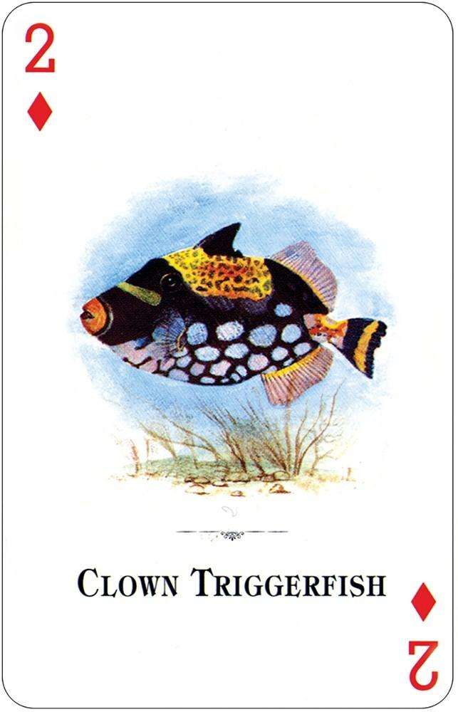 Aquarium Fish of the Natural World Playing Cards USGS - Image 3