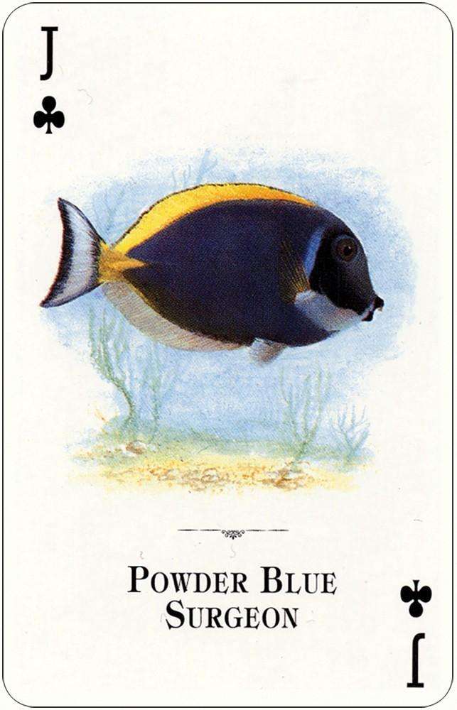 Aquarium Fish of the Natural World Playing Cards USGS - Image 4