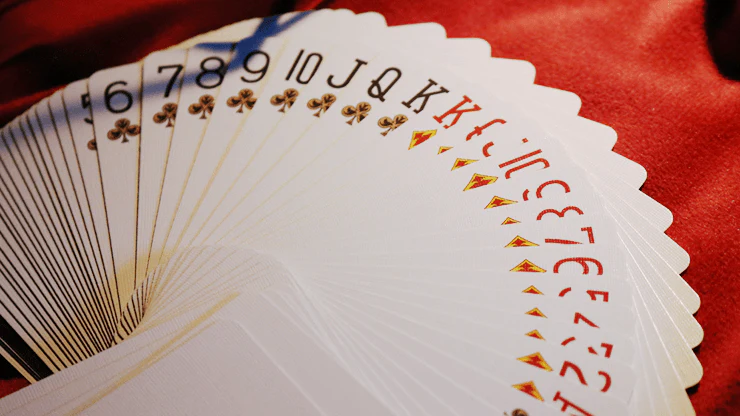 Bald Eagle Bicycle Playing Cards with No Seal - Image 5