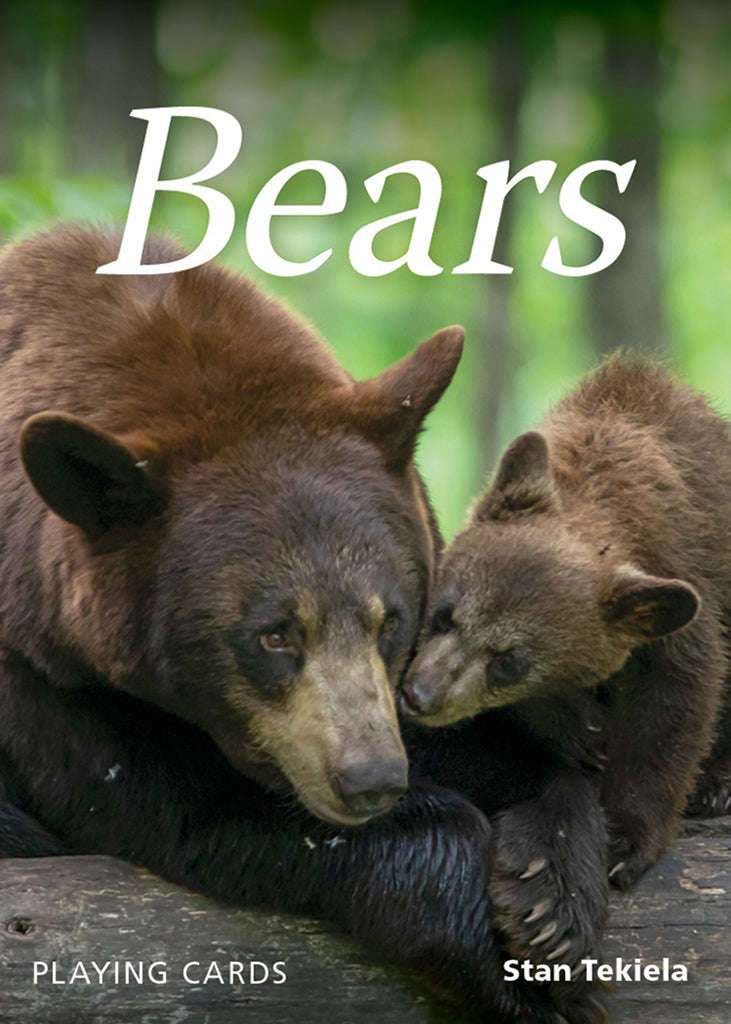 Bears Playing Cards - Image 6