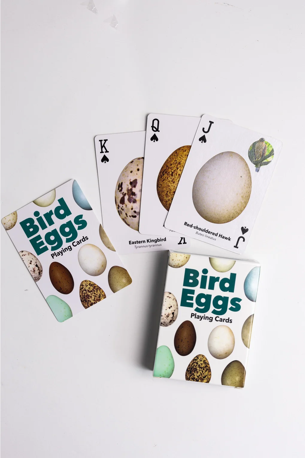 Bird Eggs Playing Cards - Image 2