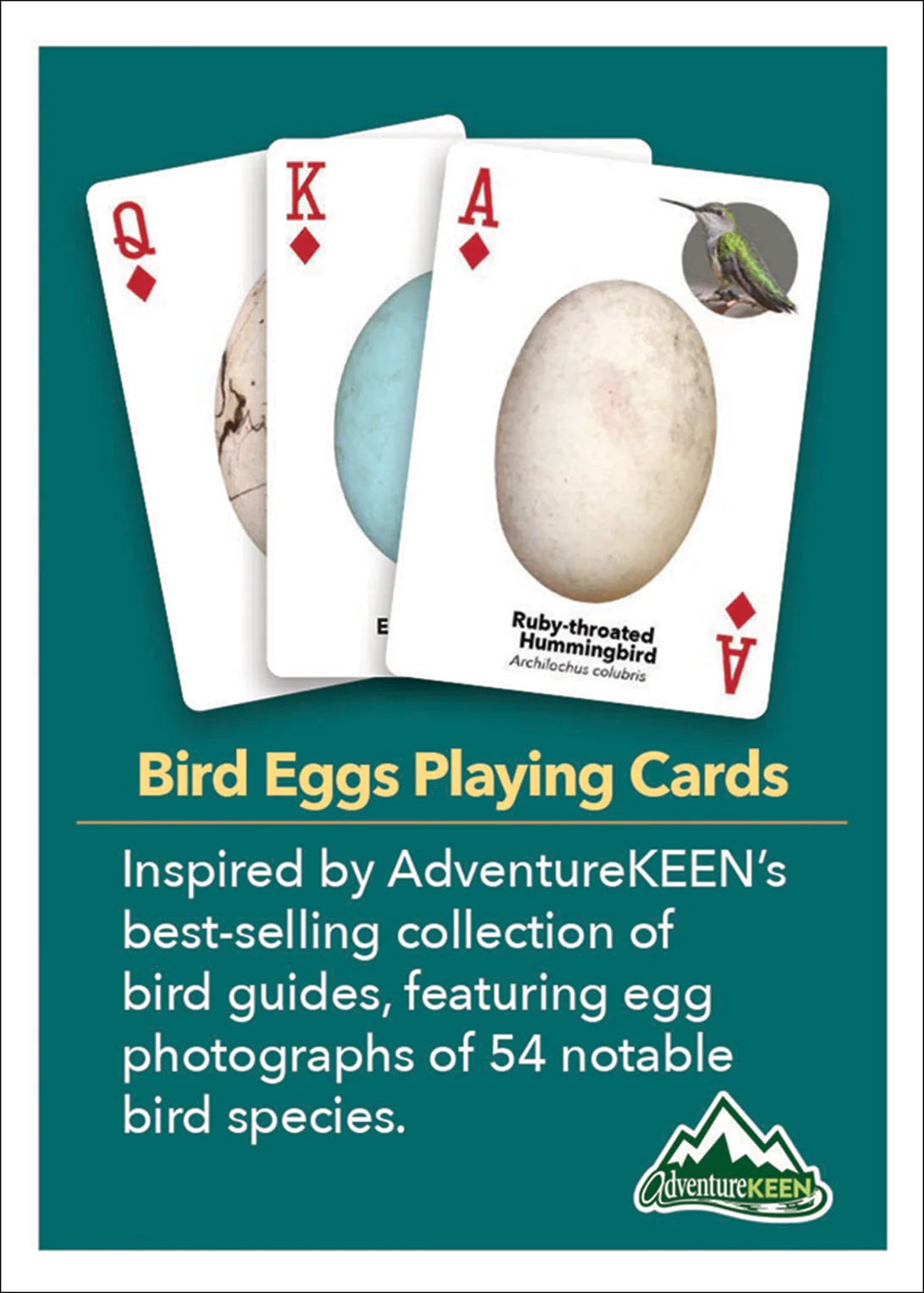 Bird Eggs Playing Cards - Image 5