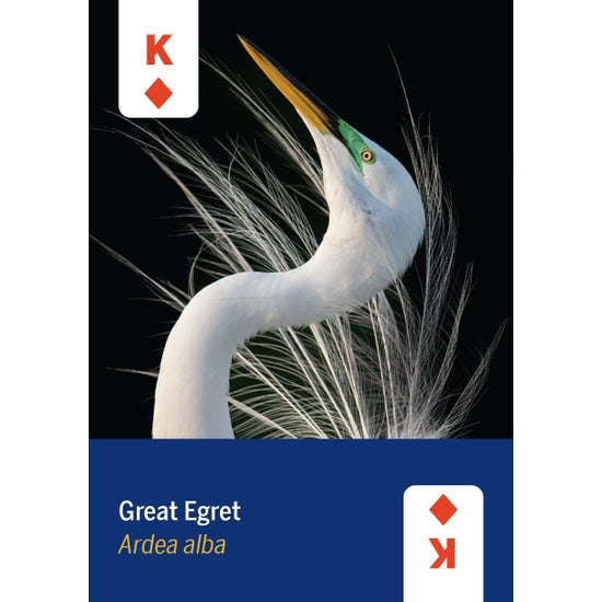 Birds of North America Playing Cards - Image 3