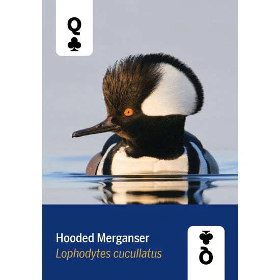 Birds of North America Playing Cards - Image 4