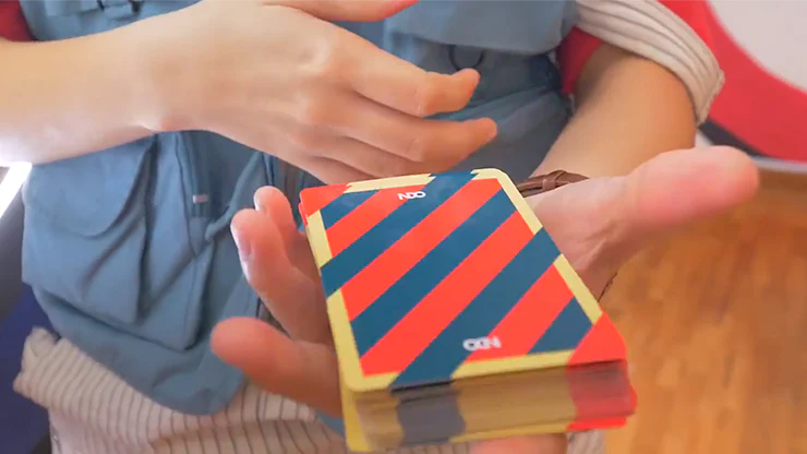 Broken Borders 2019 Playing Cards NDO - Image 6