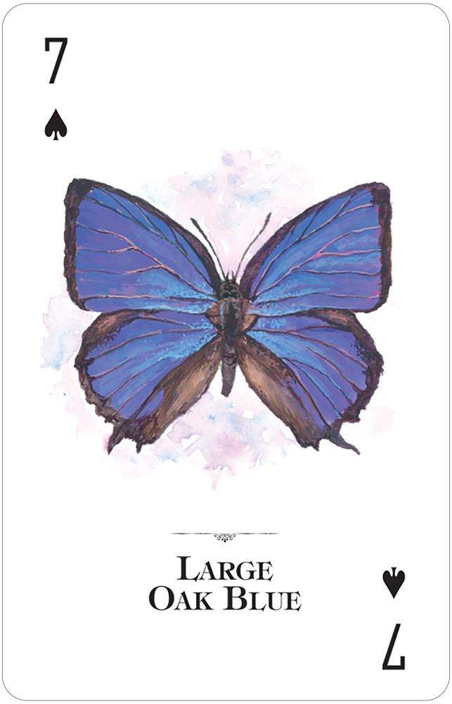 Butterflies of the Natural World Playing Cards USGS - Image 4