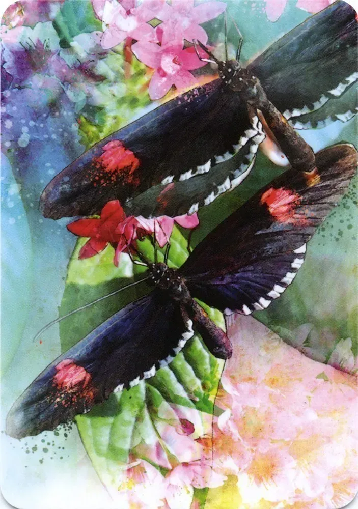 Butterfly Affirmations Cards Blue Angel - Image 5