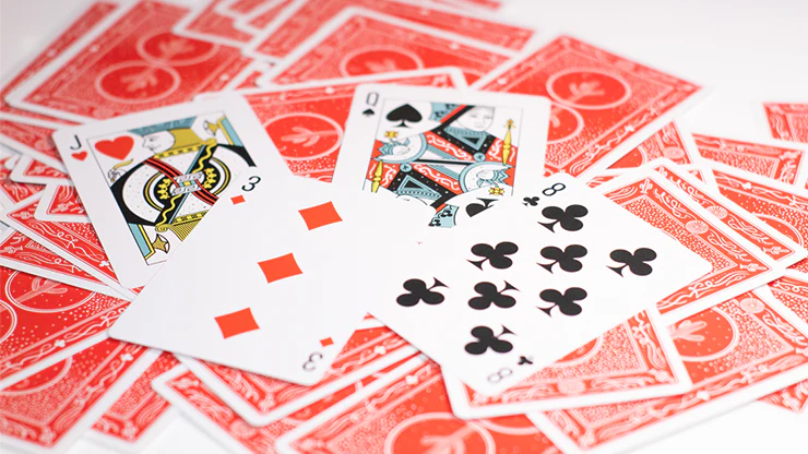 Cactus Standards Red Playing Cards USPCC - Image 4