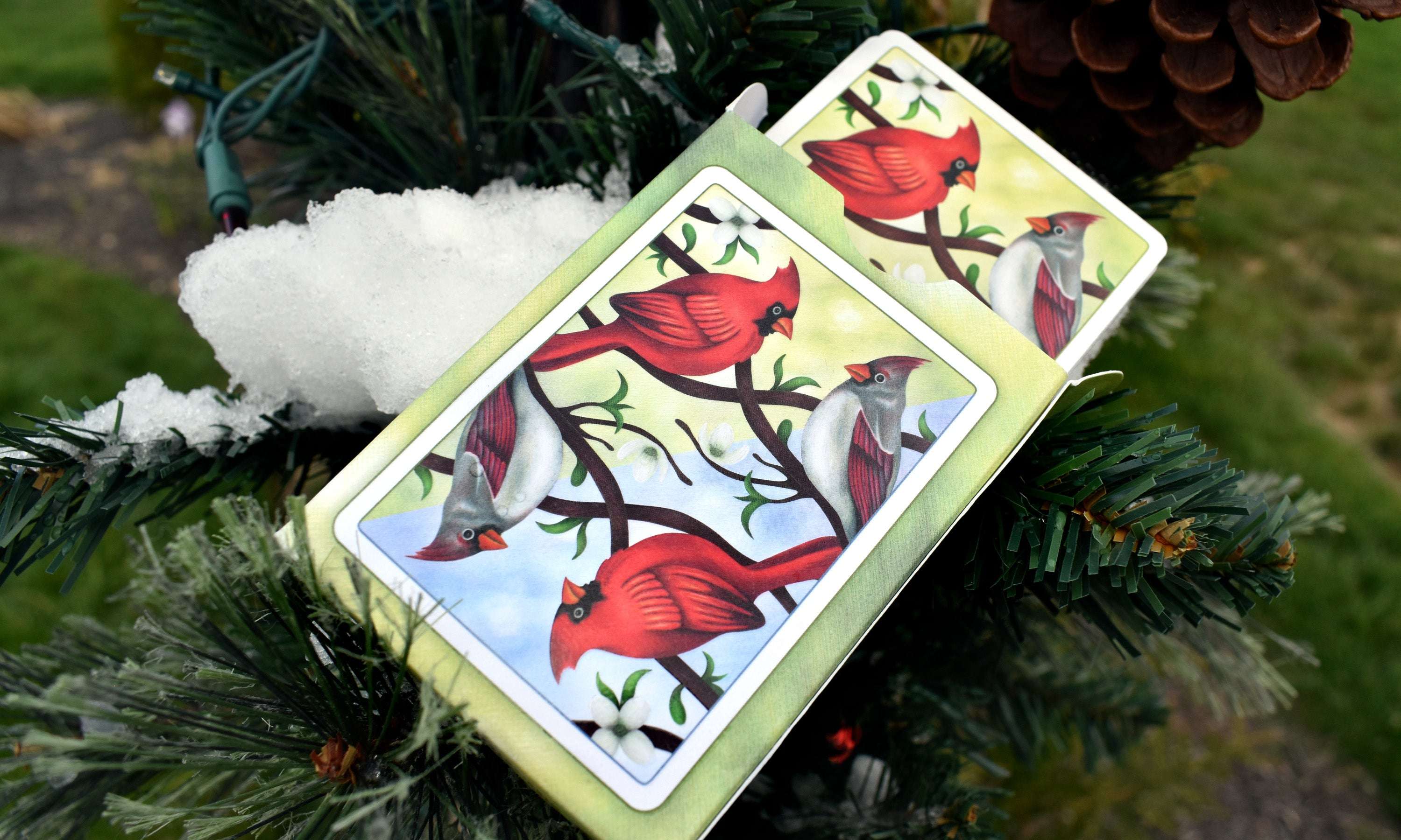 Cardinals Euchre Playing Cards LPCC - Image 8