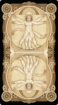 Cat Tarot Deck Lo Scarabeo - Image 2