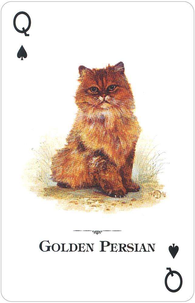 Cats of the Natural World Playing Cards USGS - Image 2