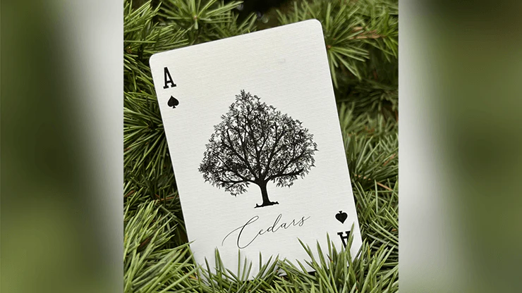 Cedars Playing Cards WJPC - Image 4