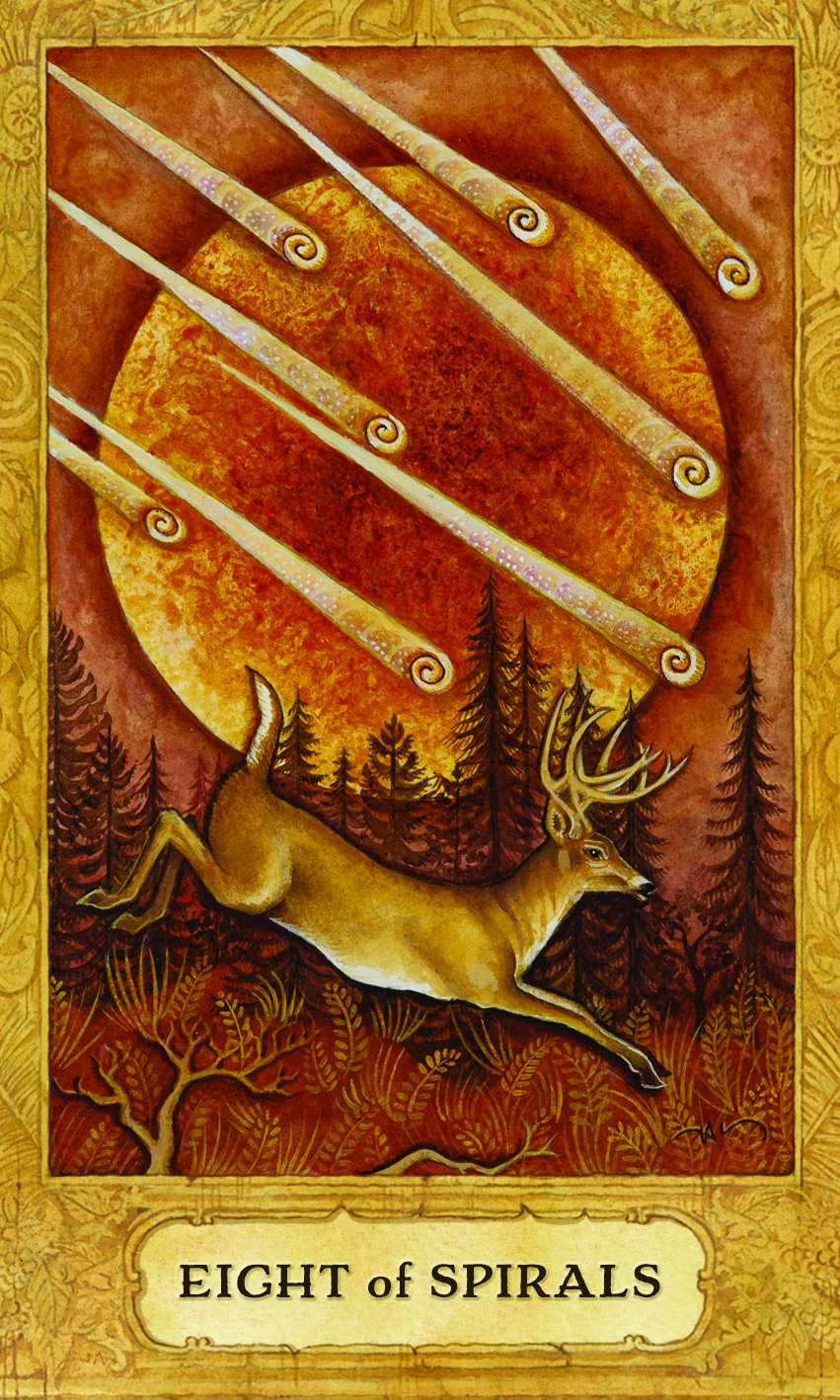 Chrysalis Tarot Deck USGS - Image 10
