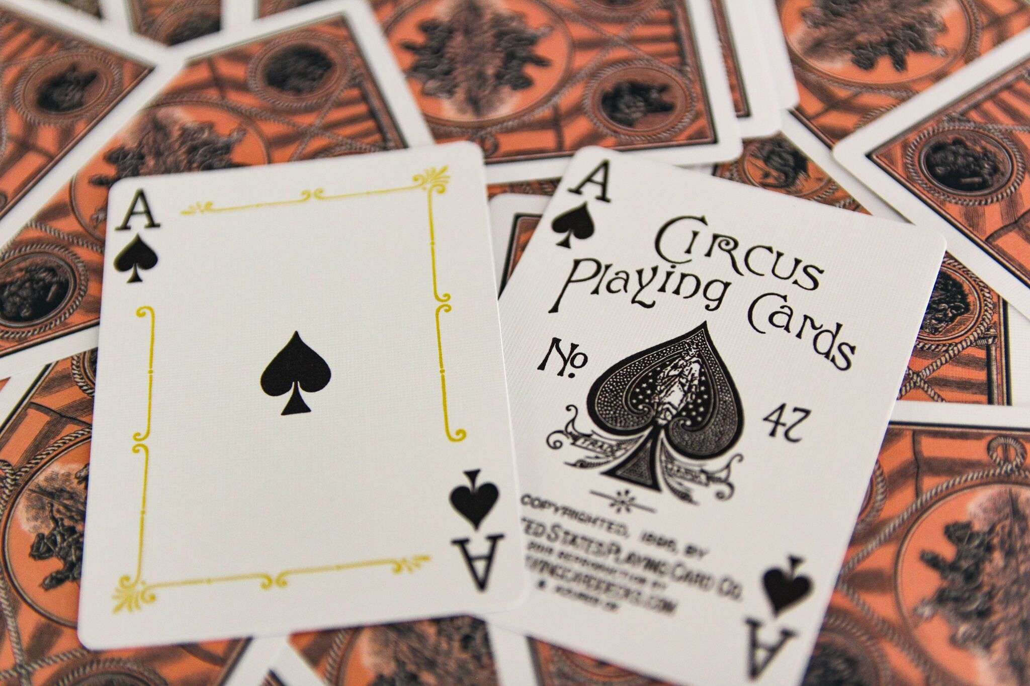 Circus Reproduction Playing Cards USPCC - Image 9