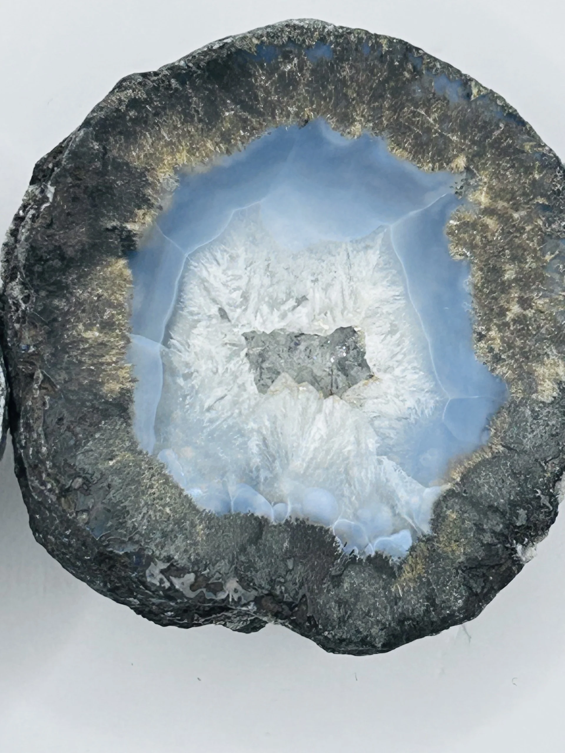 Coconut Geodes - Pair - Image 2
