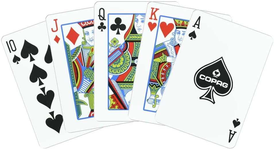 Copag Neo Culture Playing Cards Cartamundi - Image 4