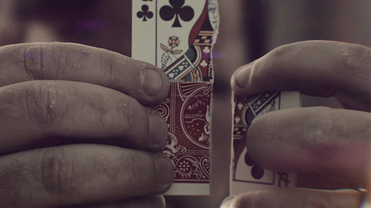 D4M Card Effect Bicycle Playing Cards - Image 3