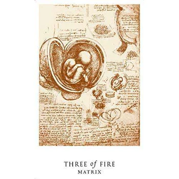 Da Vinci Enigma Tarot Kit - Deck & Book Red Feather - Image 2