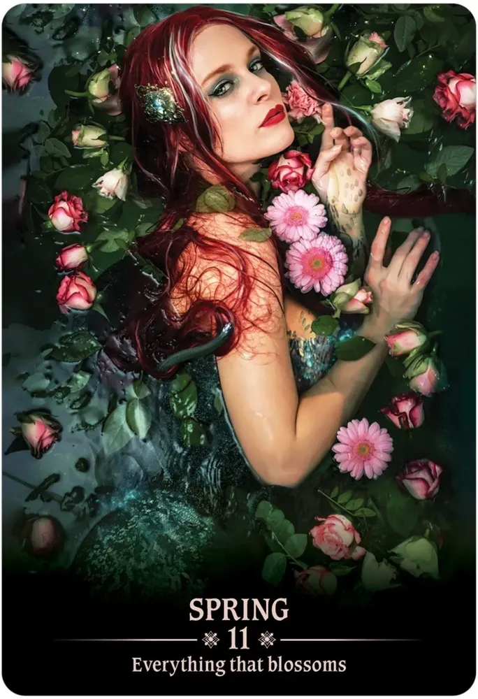 Dark Light Oracle Cards - Image 3