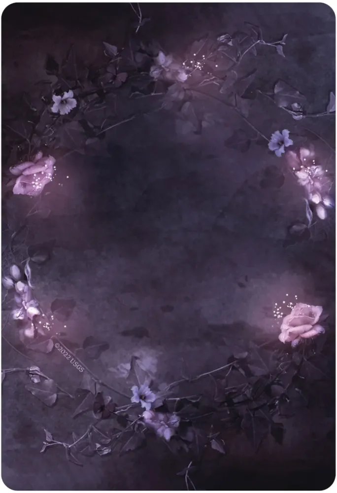 Dark Light Oracle Cards - Image 9