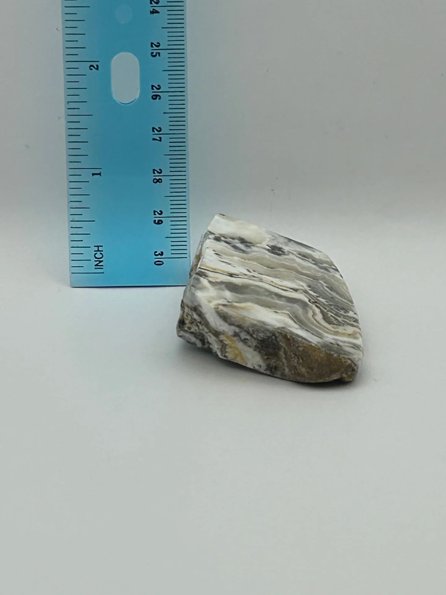 Dendritic Calcite - Image 3