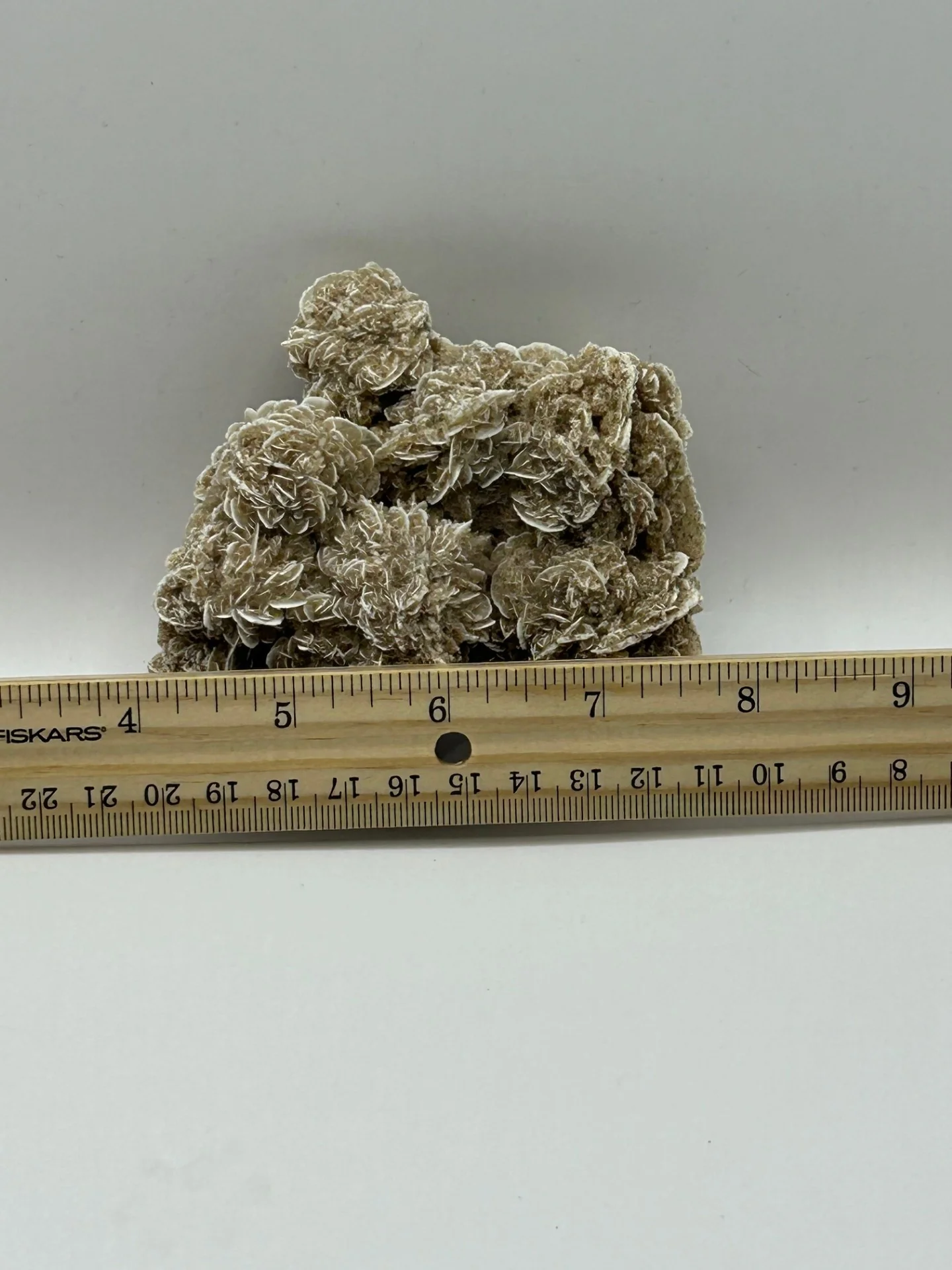 Desert Rose Cluster - Image 2