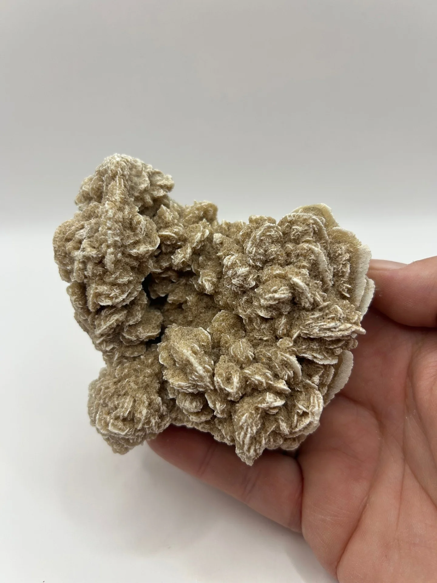 Desert Rose Cluster - Image 3