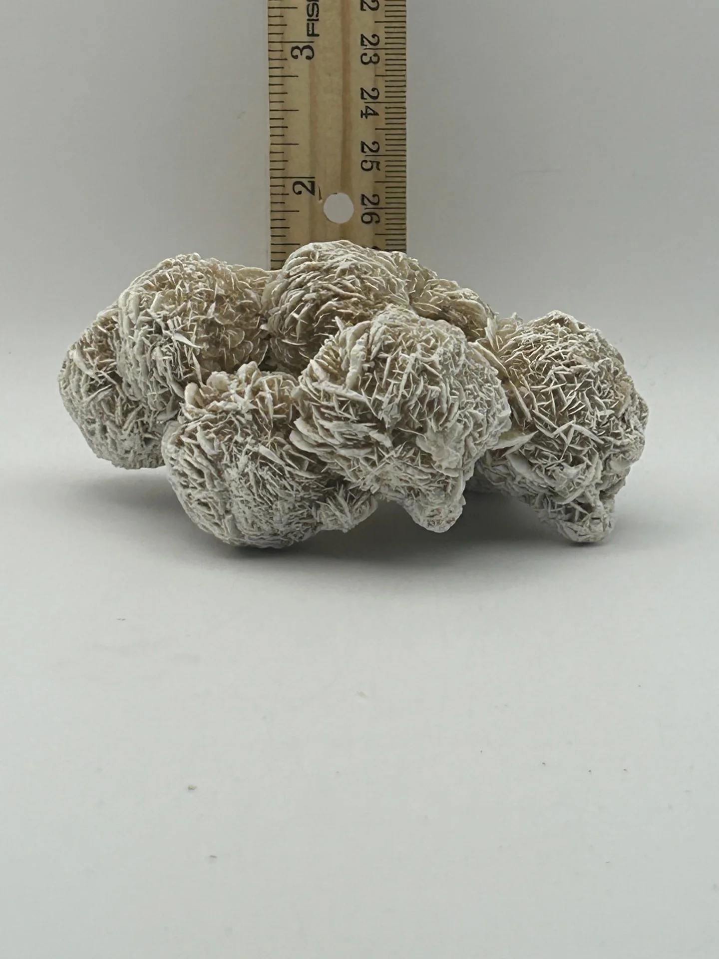 Desert Rose Cluster - Image 4