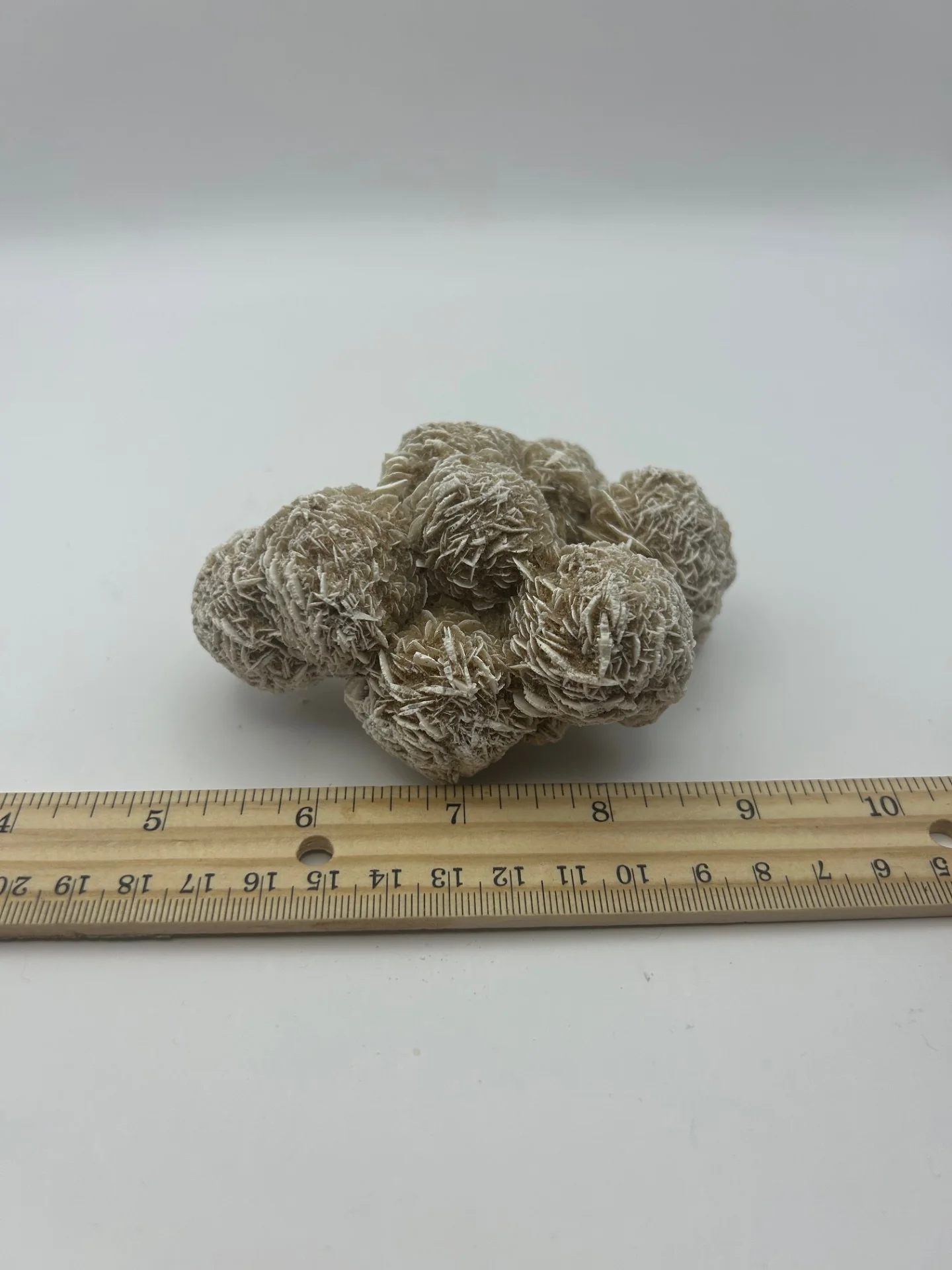 Desert Rose Cluster - Image 5
