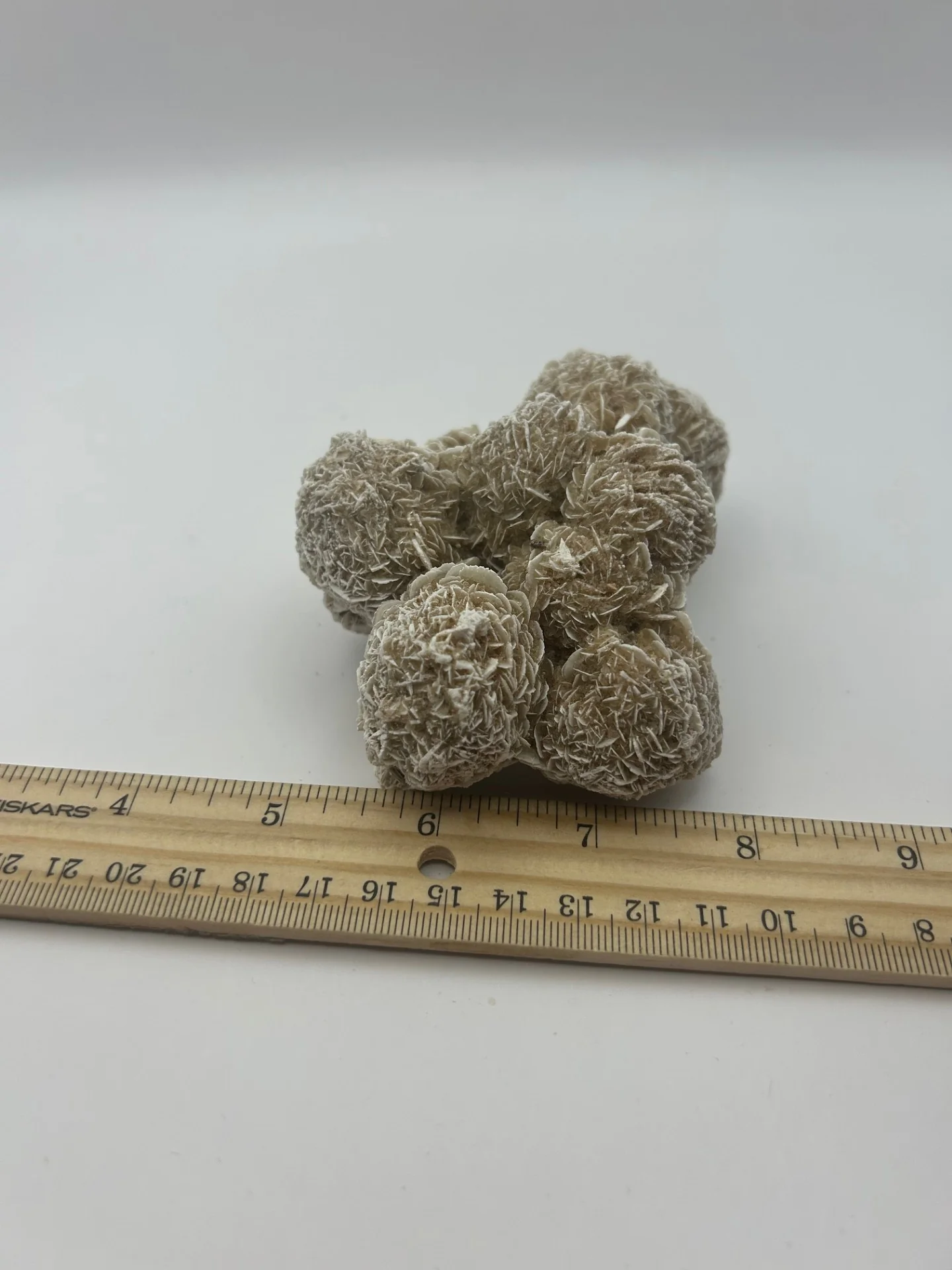 Desert Rose Cluster - Image 6