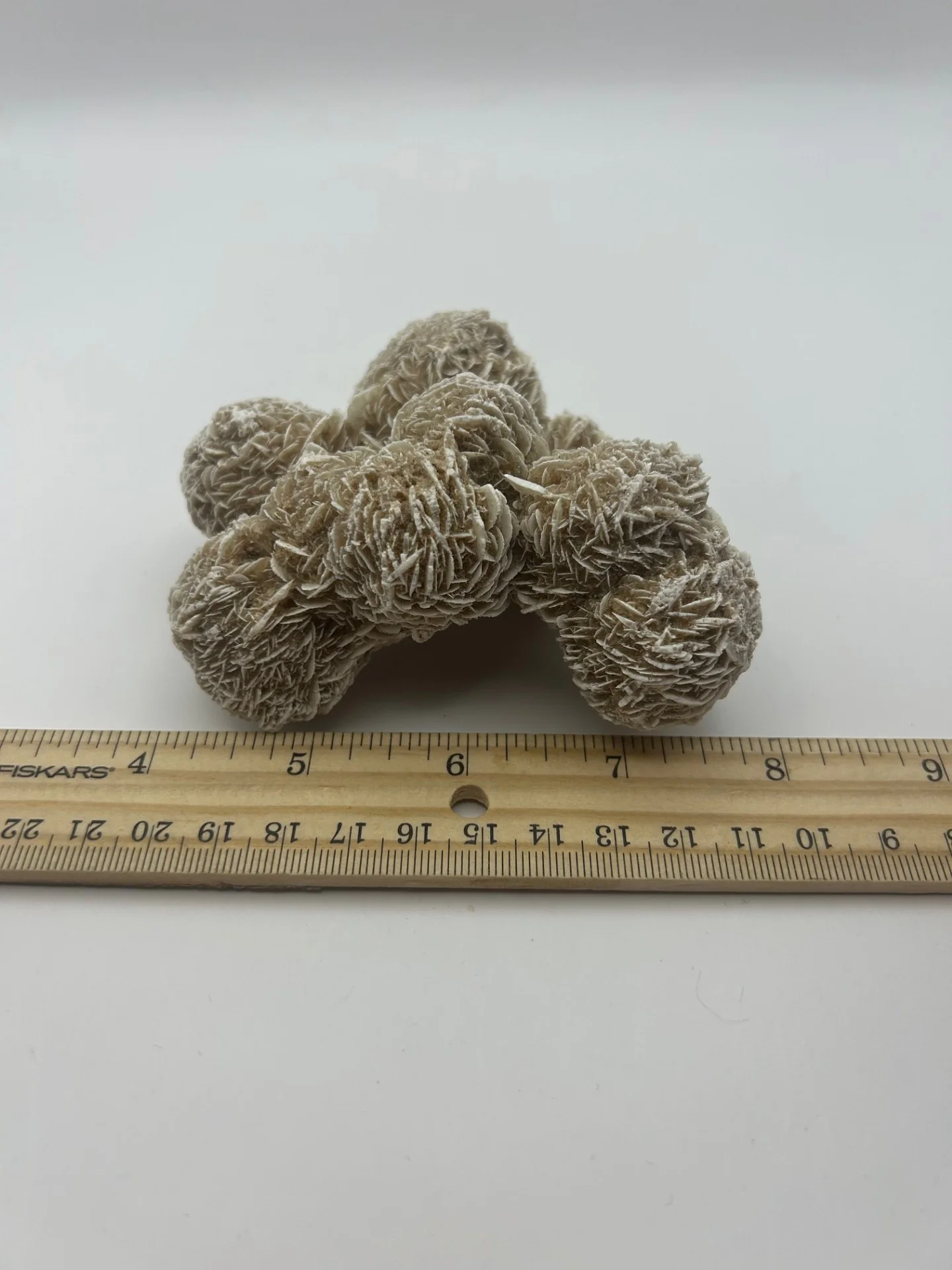 Desert Rose Cluster - Image 7