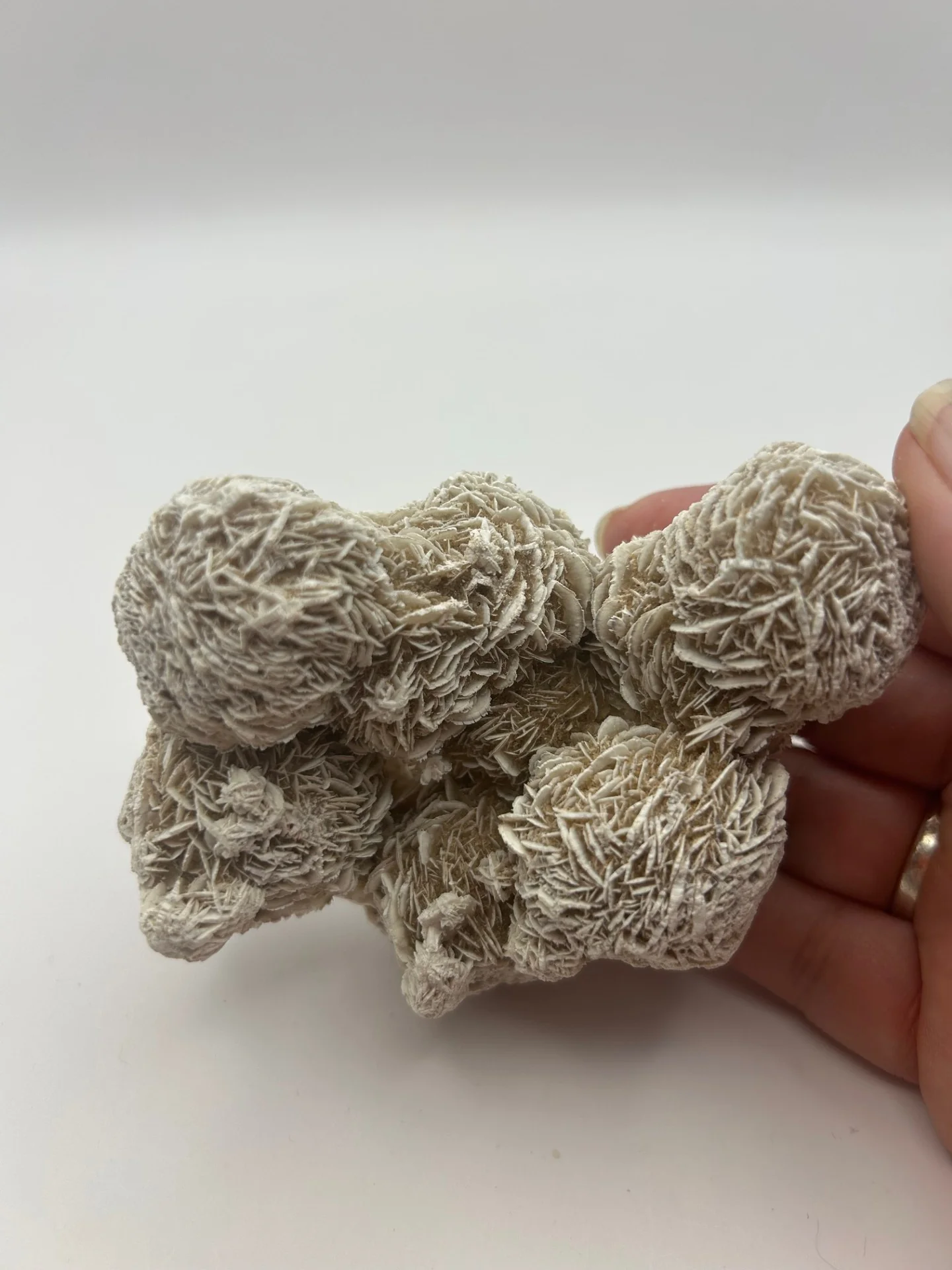 Desert Rose Cluster - Image 8
