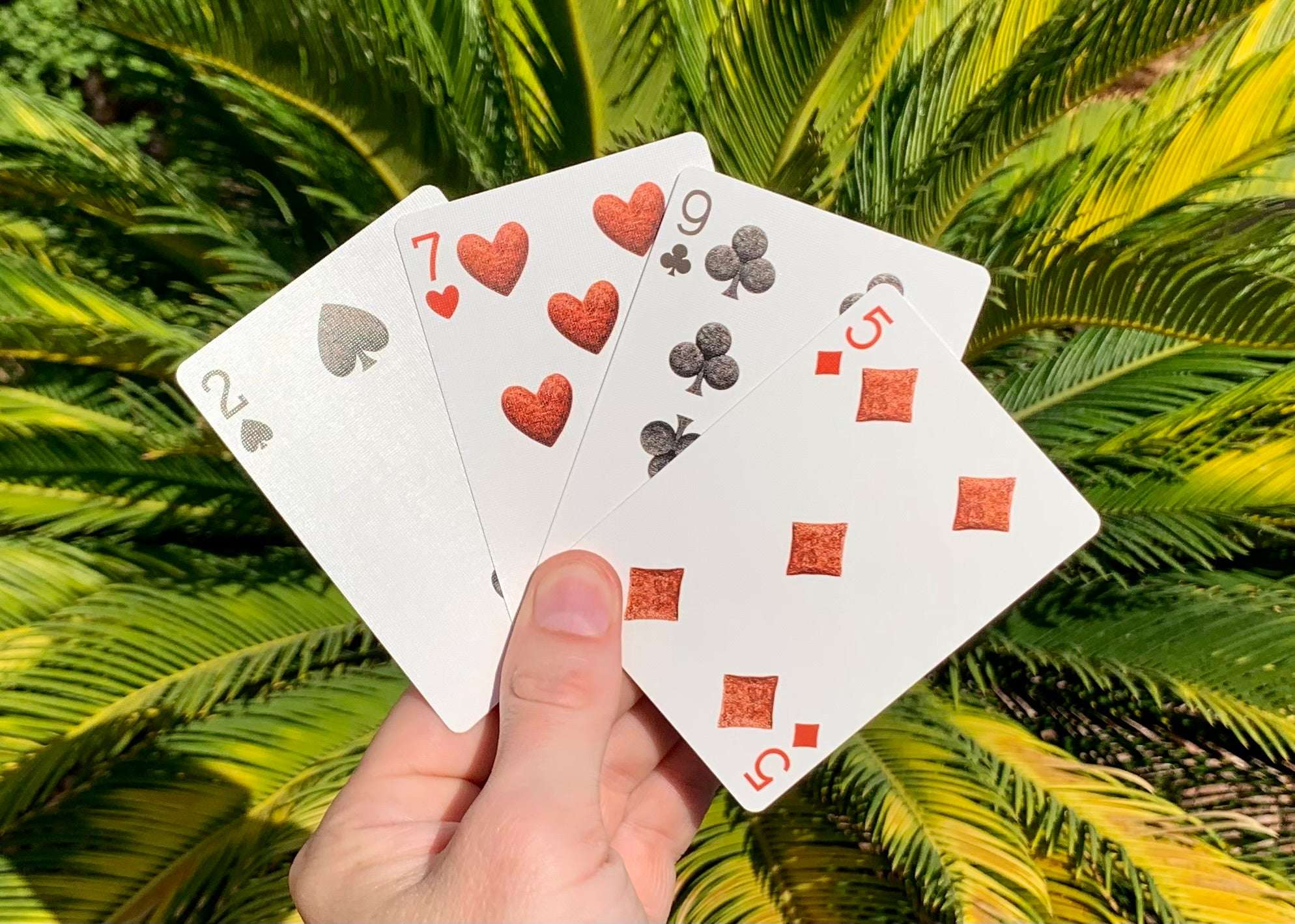 Bicycle Dinosaurs Playing Cards - Jurassic Edition - Image 8