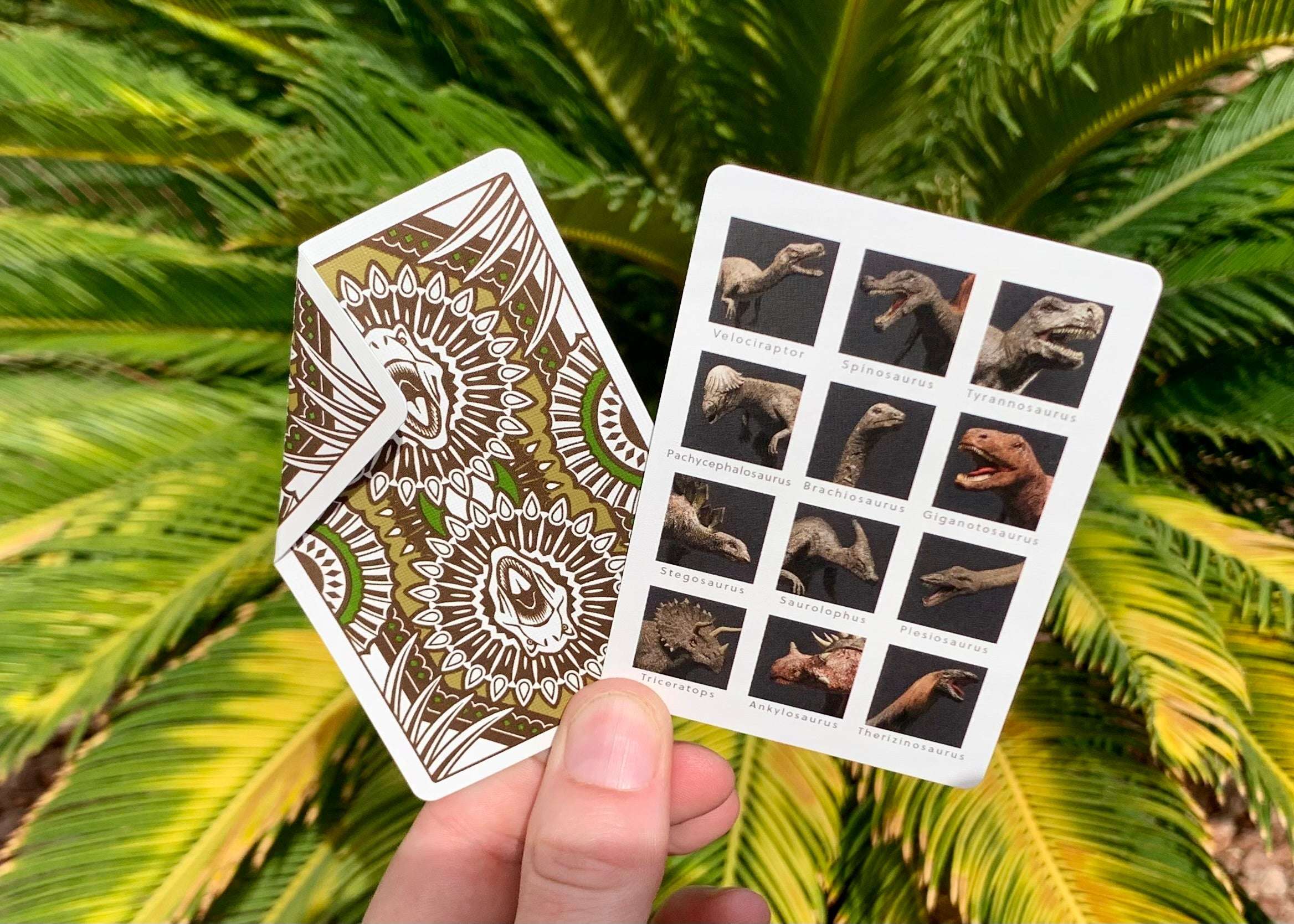 Dinosaurs Stripper Bicycle Playing Cards - Image 11