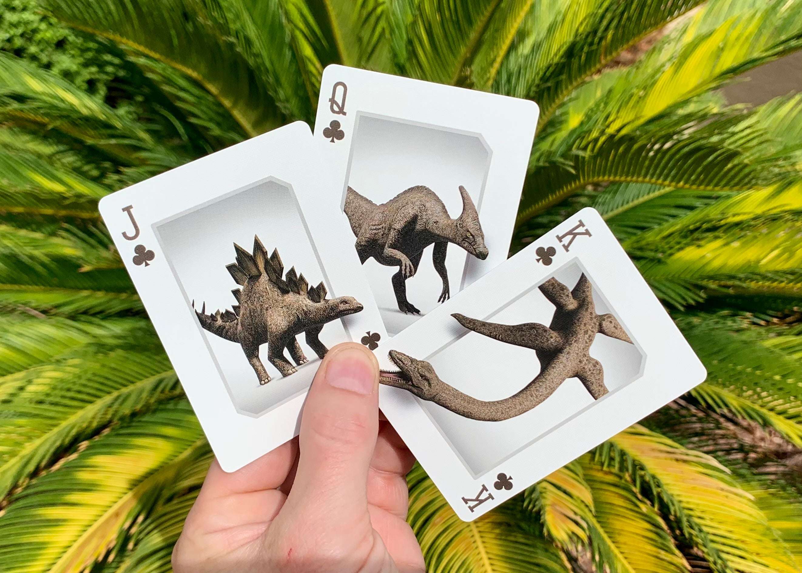Dinosaurs Stripper Bicycle Playing Cards - Image 5