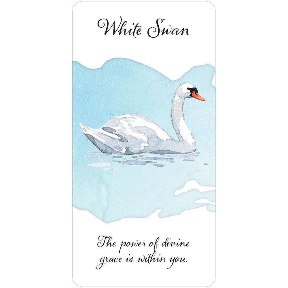 Divine Feather Messenger Deck & Book - Image 10