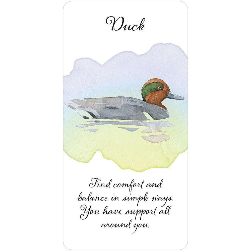 Divine Feather Messenger Deck & Book - Image 4