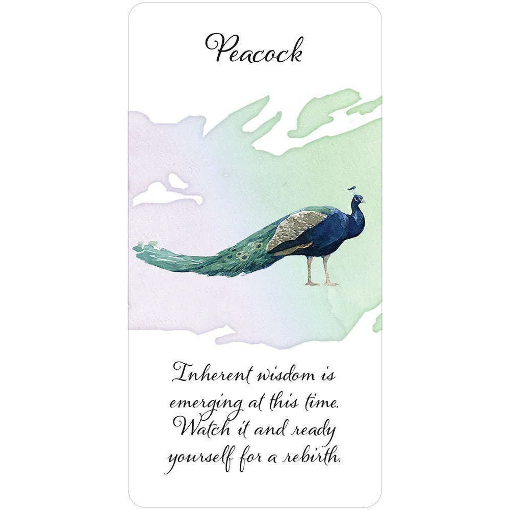 Divine Feather Messenger Deck & Book - Image 6